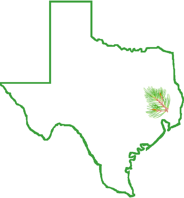 image of Texas with leaf